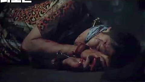 Korean Police Officer Captured